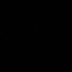 Meet your Posher, Natnael